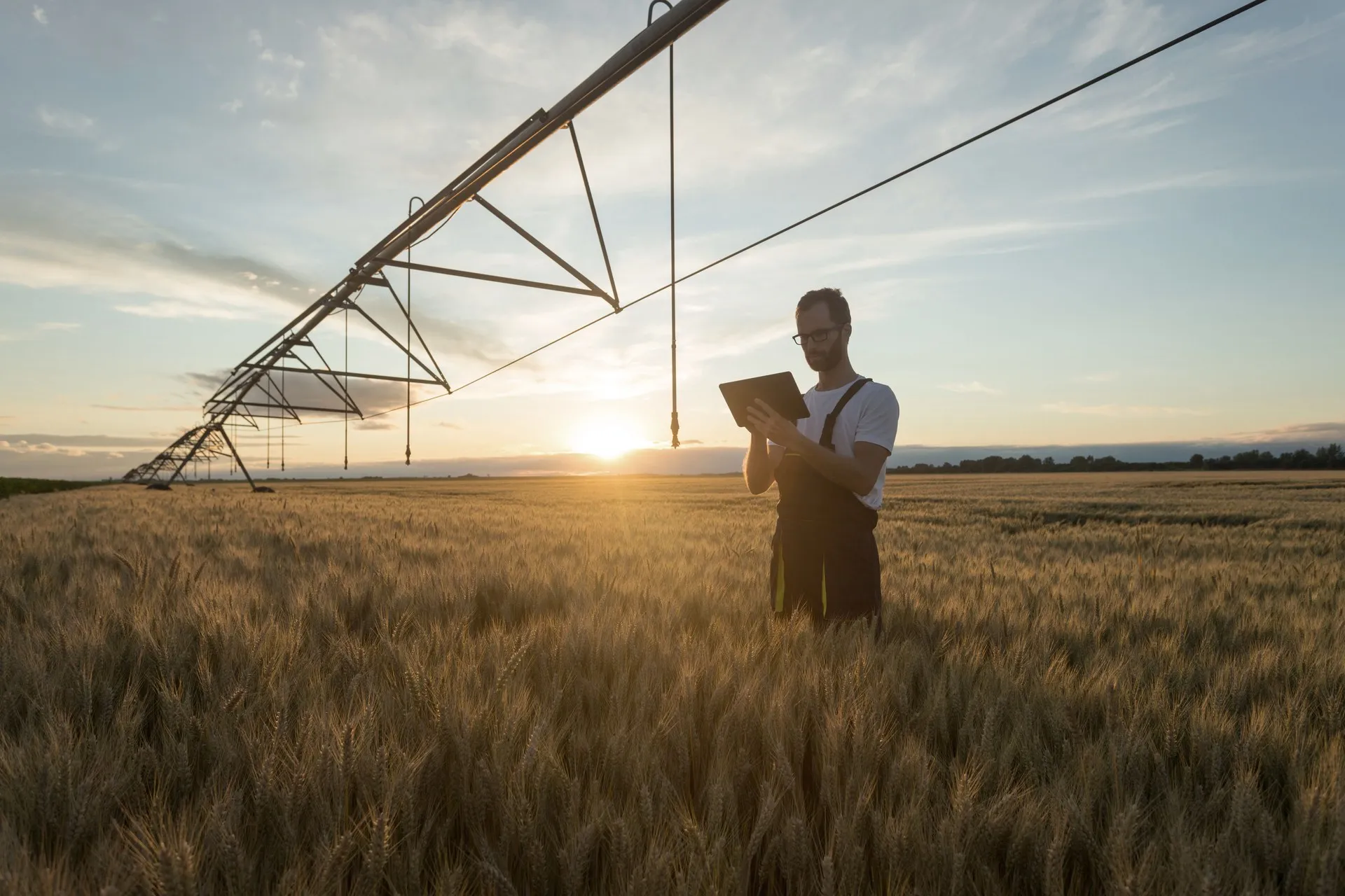 A farmer reviews readings on a tablet in a wheat field at sunset, beside an irrigation pivot.